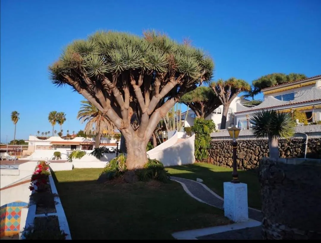 Pura Vida Apartment Tacoronte
